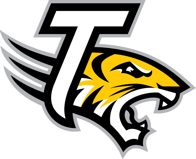 Towson Tigers 2004-Pres Alternate Logo v5 diy DTF decal sticker